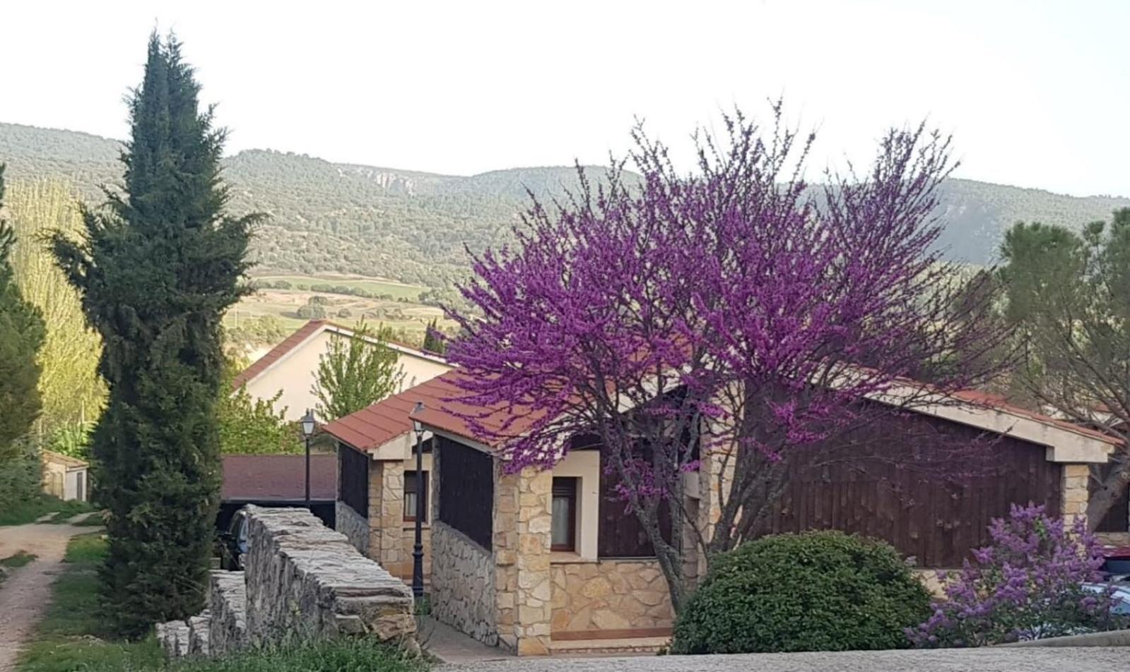 Aventura & Relax Cabanas Pena La Higuera Villalba de la Sierra Ngoại thất bức ảnh